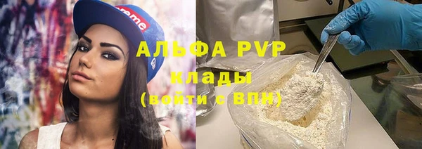 прущие грибы Абинск