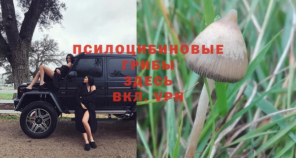 экстази Абдулино