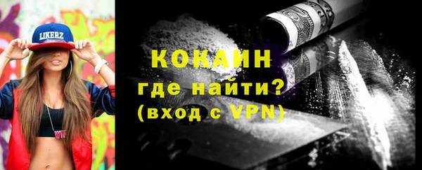 прущие грибы Абинск