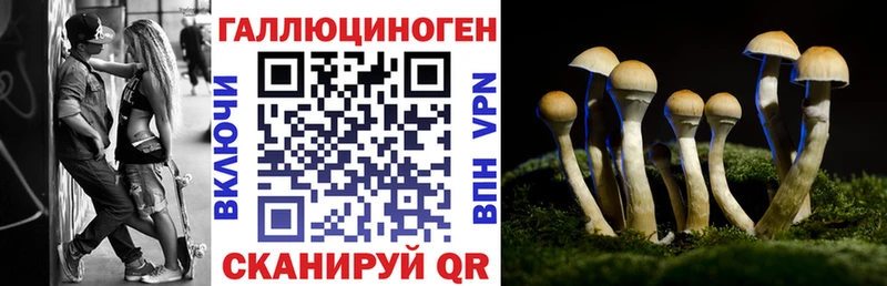Псилоцибиновые грибы мухоморы  kraken ONION  Игарка 